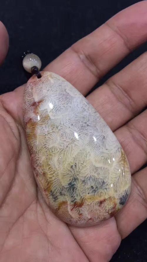 珊瑚玉之蜈蚣纹,凤尾纹等