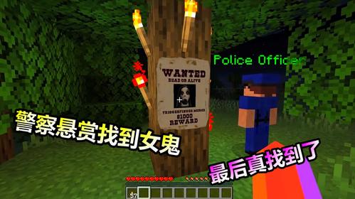 老玩家小熊玩我的世界经典视频