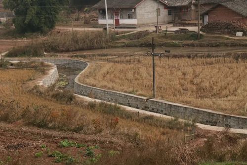 蓬溪县槐花镇哨楼村土能生金脱贫有药