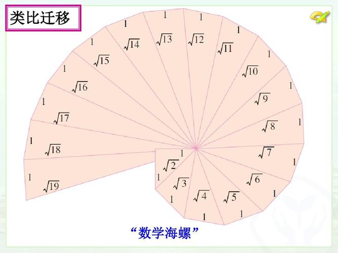 类比迁移 "数学海螺"
