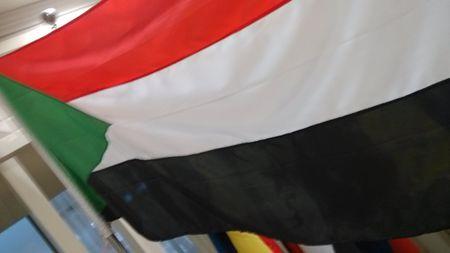 哪个国家国旗是由红白蓝白红五个彩色横条组成?