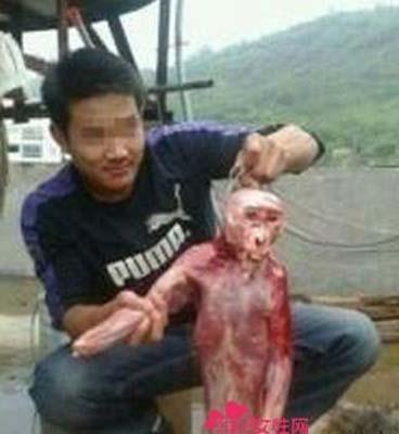 广东水库抓到一只水鬼_广东抓到一只水鬼真相