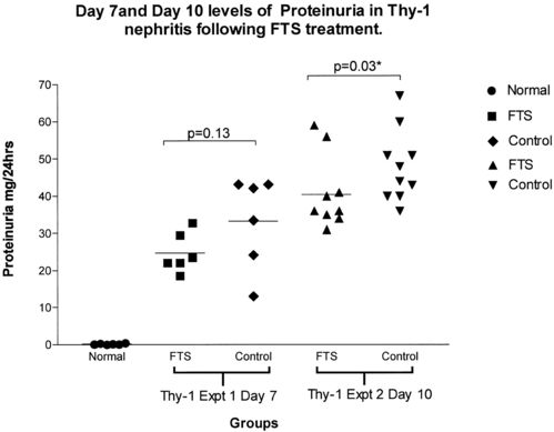 proliferation and macrophage number in rat thy-1 nephritis