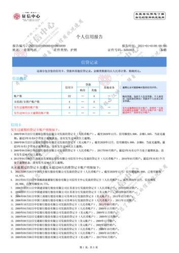 个人征信报告模板征信报告模板(2021简版带水印).docx