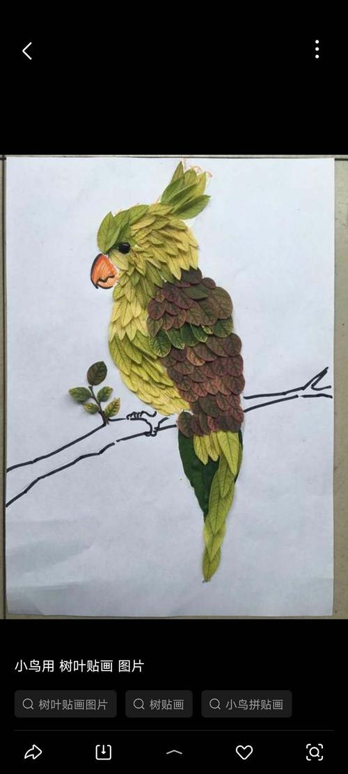 小海豹今年九月份上了幼儿园,今天也安排了手工——用树叶制作一只