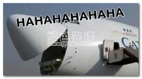 飞机大笑表情包(飞机大笑恶搞图片大全) 免费版
