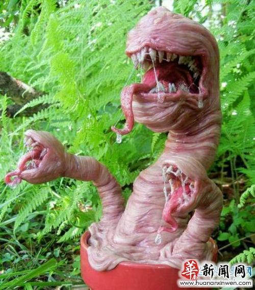 世界上最恐怖的花 食人花(乘你不注意一口吞下)