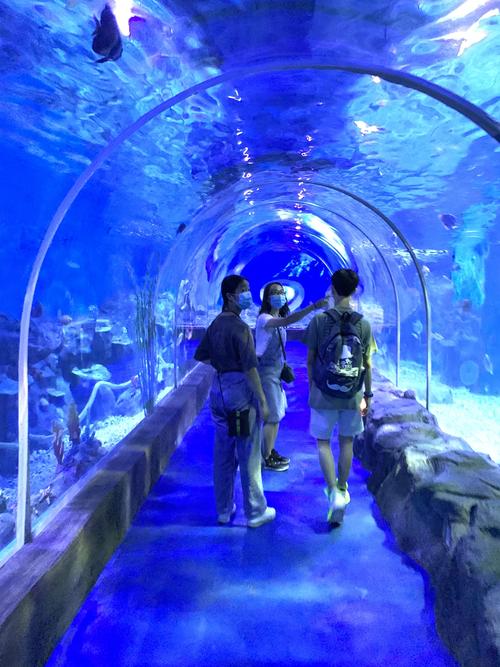观澜湖新城海底世界