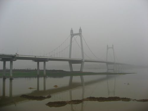 泊(2月7日摄于三汊矶大桥附近)