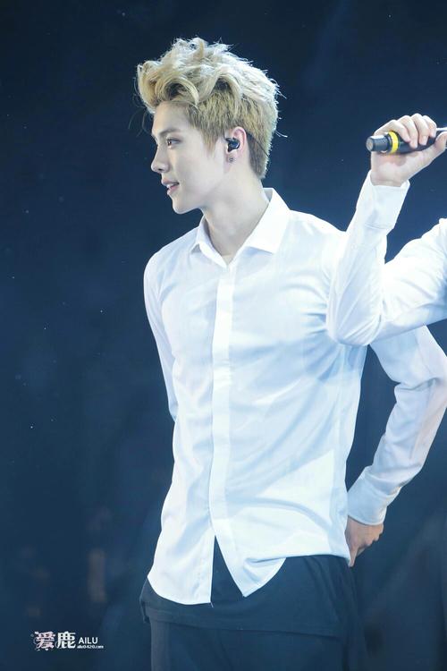 鹿晗exo 一巡演唱会