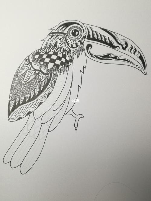 创意线描《巨嘴鸟》_线描_文化_绘画