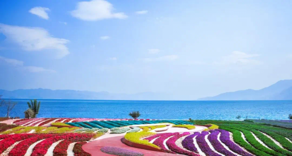 绝美的云南抚仙湖畔澄江你必须从这个角度看