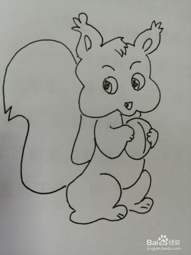 第八步,最后把可爱的小松鼠的尾巴画出来,尾巴上面有弯曲的条纹.