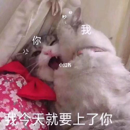 表情包|觉得太可爱了,所以一定要分享给你们_表情包_我最爱的表情包