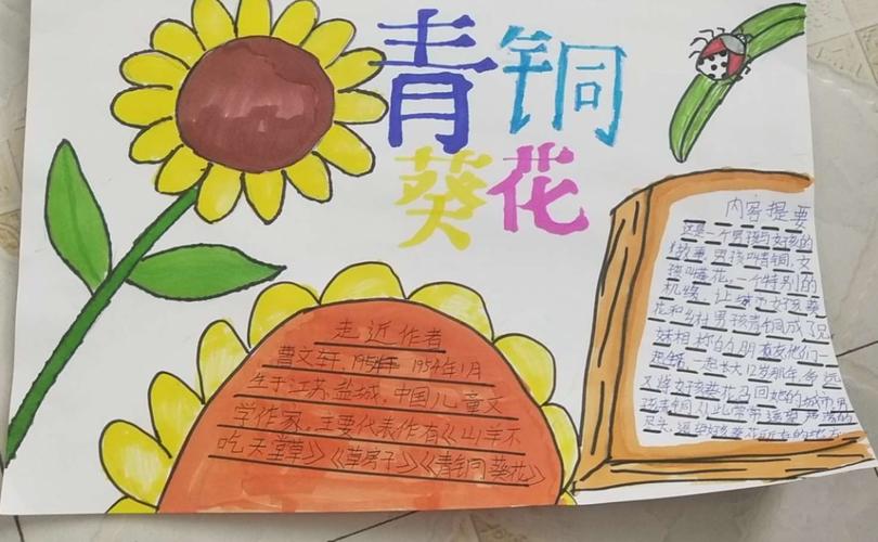 《青铜葵花》手抄报实小四三班展示