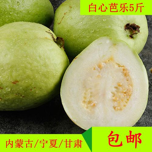 共528 件甘肃水果特产相关商品