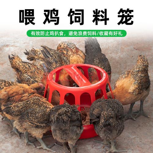 喂鸡食槽 养鸡神器鸡笼喂食器养殖设备饲料桶自动饮水