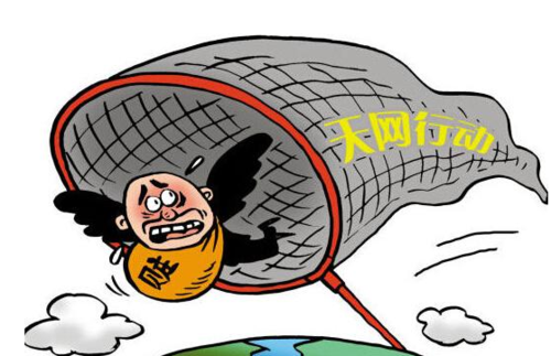 资料图:天网恢恢疏而不漏.(图片与本文无关)