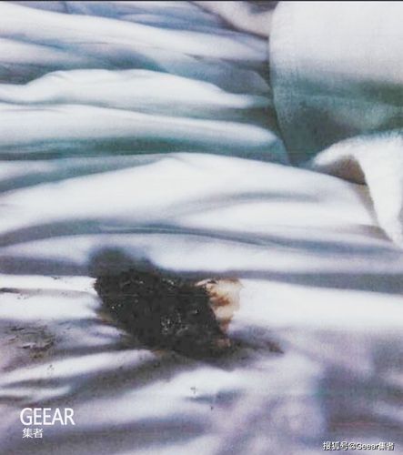 艾梅柏·希尔德在床上大便照曝光:德普家中保姆证明并非来自宠物