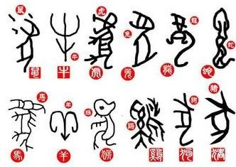 羊的学名是"未".实际生活中的羊是家畜,属于偶蹄动物
