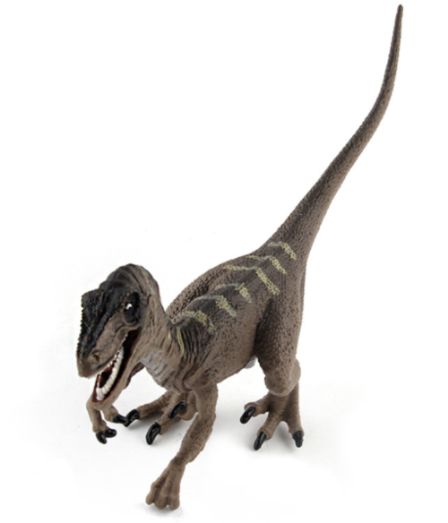 叶牙龙:棱齿龙类小型恐龙(长1-2米/化石稀少)