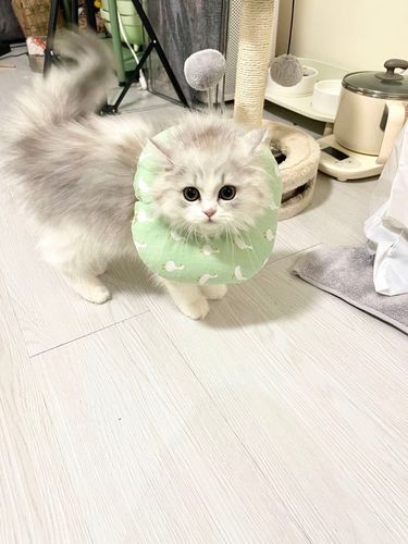 20 5.19 王奕