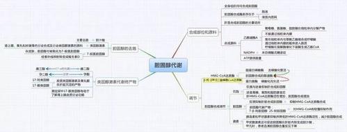生物化学思维导图集合