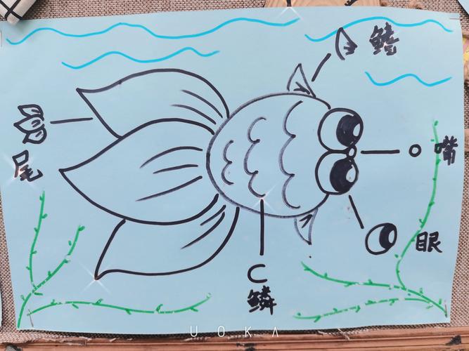 在活动中,小朋友知道了小金鱼的身体结构