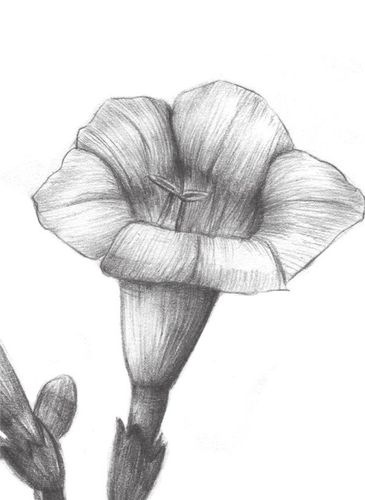 (2)(3)_素描教程_学画画_我爱画画网