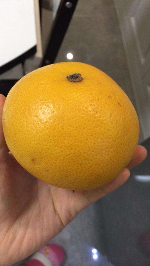 葡萄柚