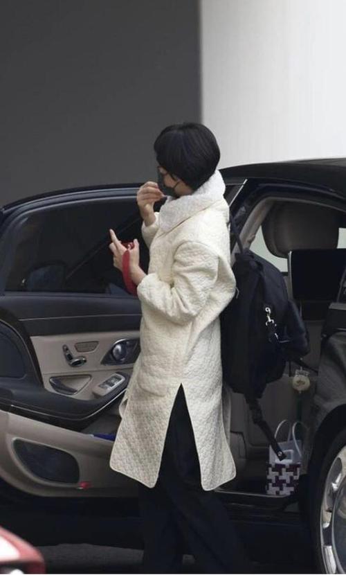 孙俪出门反差大司机开300万豪车送机她却穿长袍还拎个菜篮子