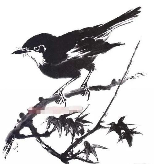 水墨写意花鸟画基本画法教程写意鸟类的画法和步骤详解