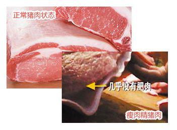 怎么确定猪肉里面有没有瘦肉精,哪里能检测?