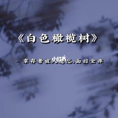 《白色橄榄树》- 战争残酷,你温柔如初_小说推荐_梦境