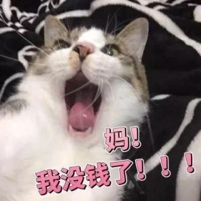 表情包