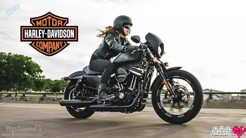 硬汉升级 2016款 harley-davidson iron 883