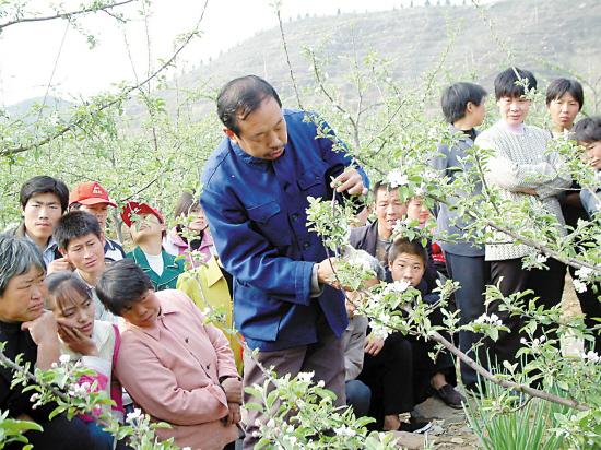 李保国老师正在疏花指导.