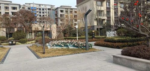 碧桂园cld凤凰首府,幸福柳路-济南碧桂园cld凤凰首府二手房,租房,房价