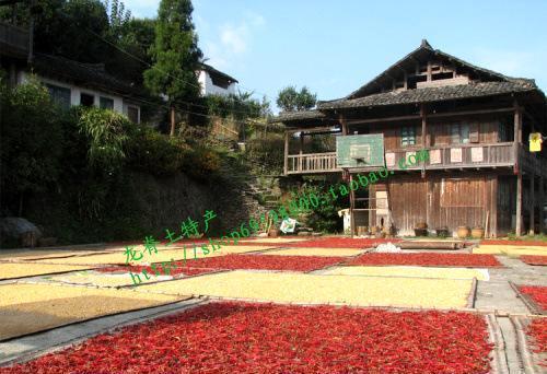 桂林龙脊红辣椒(龙脊梯田农家干辣椒)