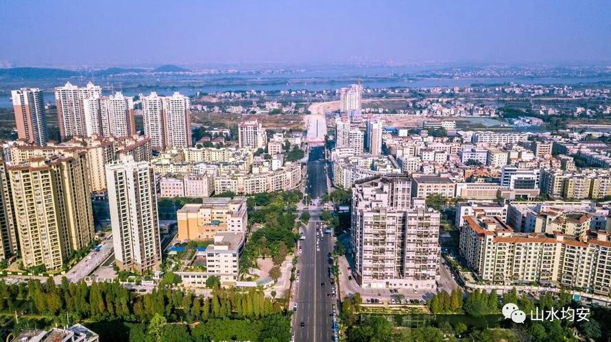 密集的均安镇中心城区