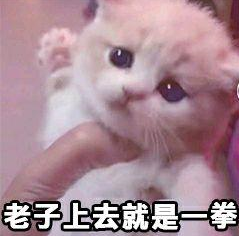 上去就给你一拳表情包下载(泰拳警告表情)v1.0 无水印