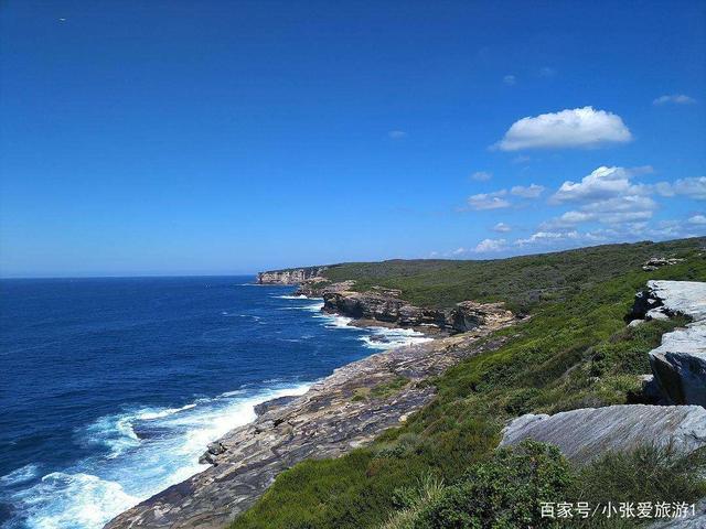 第二古老的国家公园,悉尼皇家国家公园,景美人少没门票