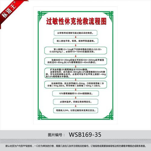 急救抢救休克示意图过敏性流程图挂图贴纸