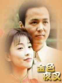 金色夜叉电视剧剧情介绍,演员表,大结局_搜视网