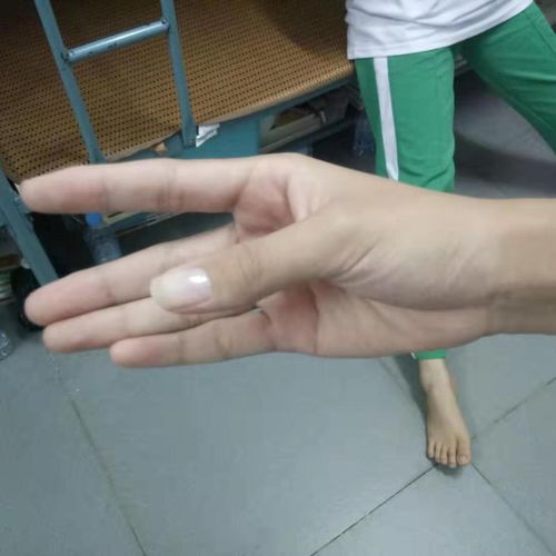 芭蕾舞的基本手势.