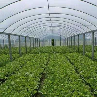 高档温室棚棚骨架钢管用品蔬菜养殖大大全套农0p连体连栋大棚2ins
