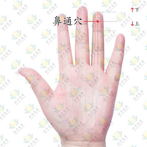 鼻塞了就找鼻通穴,亲测有效!