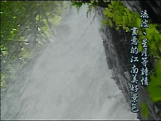 雾 竹 笛 韵               垂柳舞风       动态