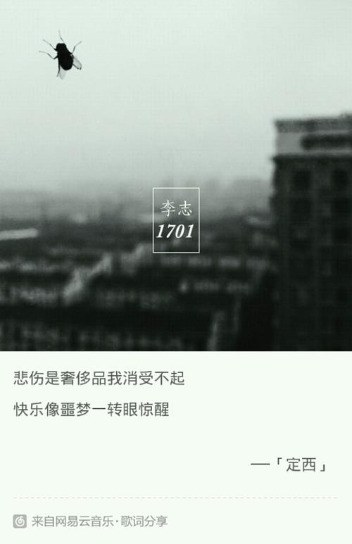 李志的哪一首歌哪一句歌词戳中了内心深处的泪点?