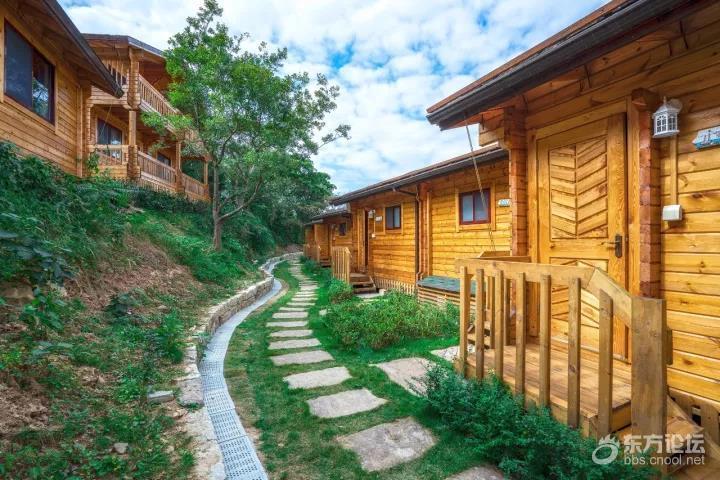 【限时抢购】999元抢柿子红了民宿三店套餐